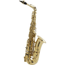 【在庫アリ】H.Selmer ALTO SAX AXOS セルマー アルトサックス アクソス Seles AXOS (セレス アクソス)【送料無料】【タイムセー... 画像