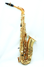 【即納可能】【新品】【送料無料】【5年保証】【SELMER】【セルマー】Alto　Seles Axos GP-TONE アクソスGPトーン【Alto】【アルトサ... 画像