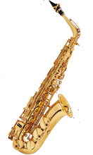 H.SELMER ALTO Jubilee SA80II WE/GL 画像