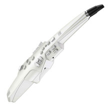 Roland ローランド / Aerophone AE-10 エアロフォン《在庫有ります！》【名古屋栄店】 画像