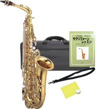 Kaerntner ( ケルントナー ) KAL62 アルトサックス 新品 管楽器 サックス 管体 ゴールド アルトサクソフォン 本体 E♭ alto saxo... 画像